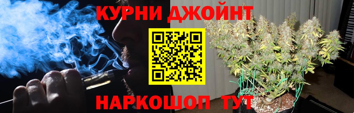 Салехард  Каннабис сатива  Вход с VPN  Конопля индика  Каннабис индика 